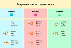 Раскраска род имен существительных 3 класс #37 #477145