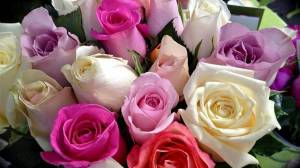 Раскраска розы красивые #8 #478313