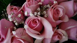Раскраска розы красивые #23 #478328