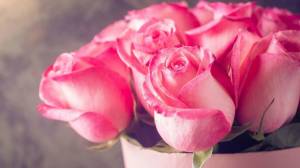 Раскраска розы красивые #30 #478335