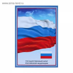 Раскраска российский флаг для детей #19 #479336