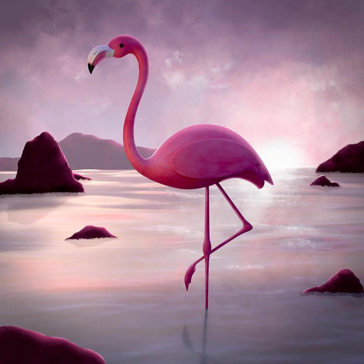 Розовый фламинго #22