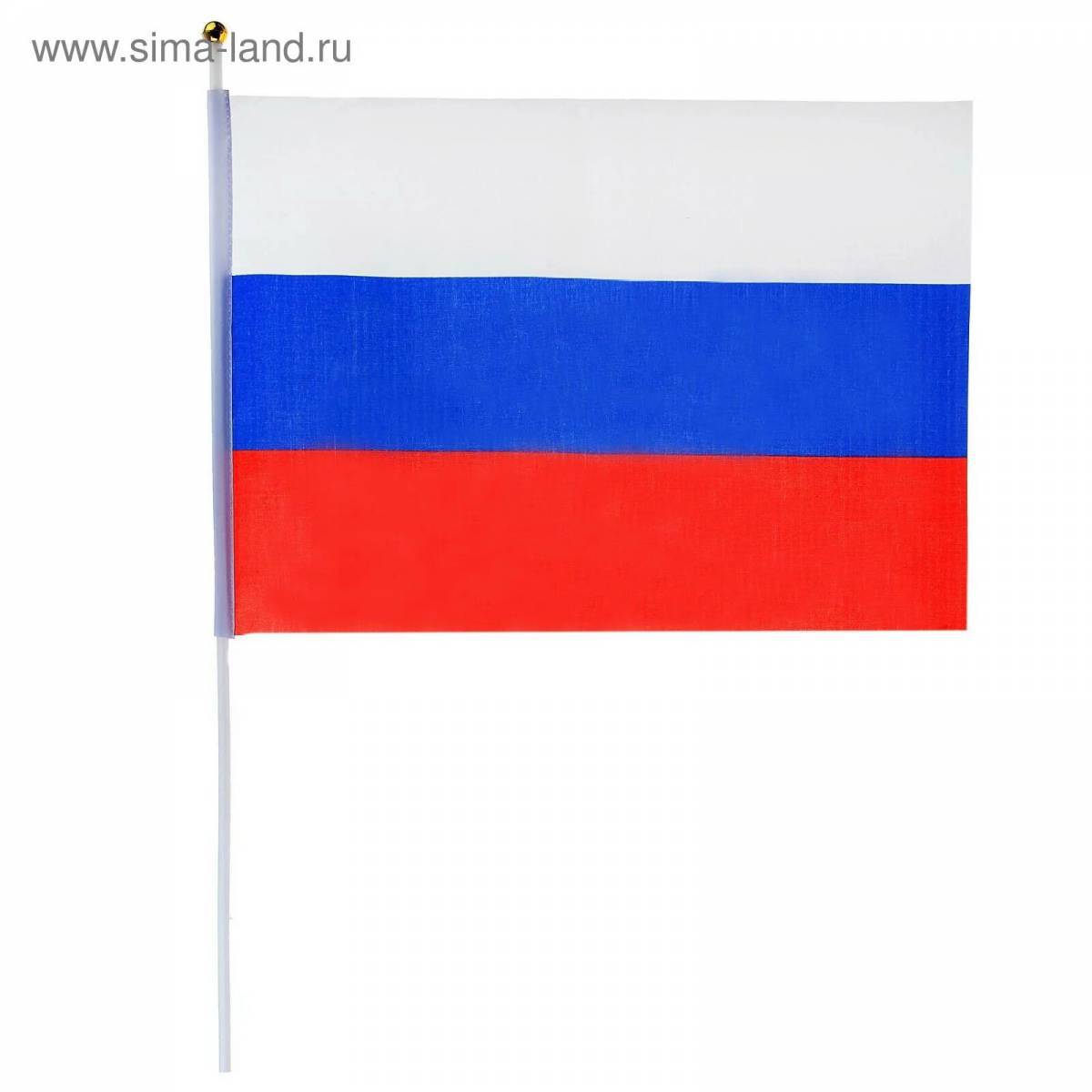 Российский флаг для детей #34