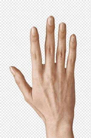 Раскраска рука человека #2 #480156