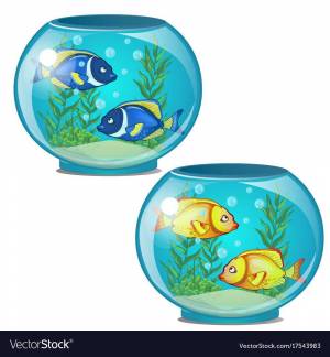 Раскраска рыбки в аквариуме для детей 4 5 лет #18 #482290