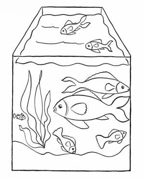 Раскраска рыбки в аквариуме для детей 4 5 лет #19 #482291