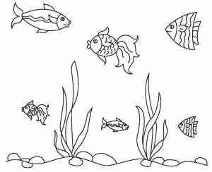 Раскраска рыбки плавают в аквариуме средняя группа #1 #482311
