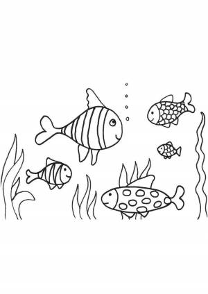 Раскраска рыбки плавают в аквариуме средняя группа #29 #482339