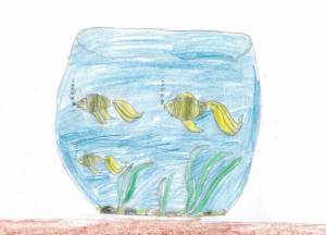 Раскраска рыбки плавают в аквариуме средняя группа #31 #482341