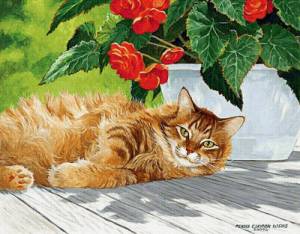 Раскраска рыжий кот по номерам #16 #482443
