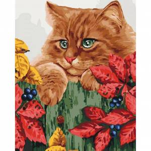 Раскраска рыжий кот по номерам #17 #482444