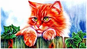 Раскраска рыжий кот по номерам #24 #482451