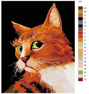 Раскраска рыжий кот по номерам #36 #482463
