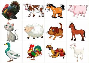 Раскраска с животными для детей от 6 до 10 лет #23 #483611