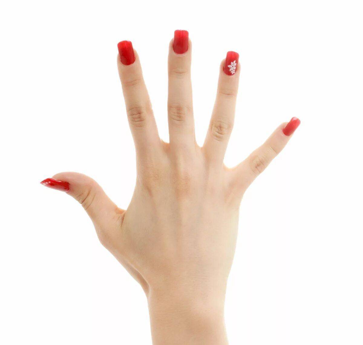 Рука с ногтями длинными #5