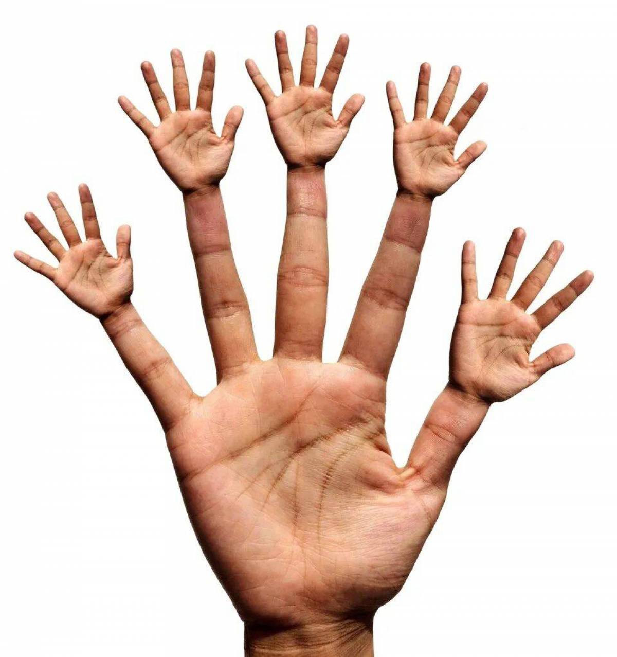 Рука человека #5