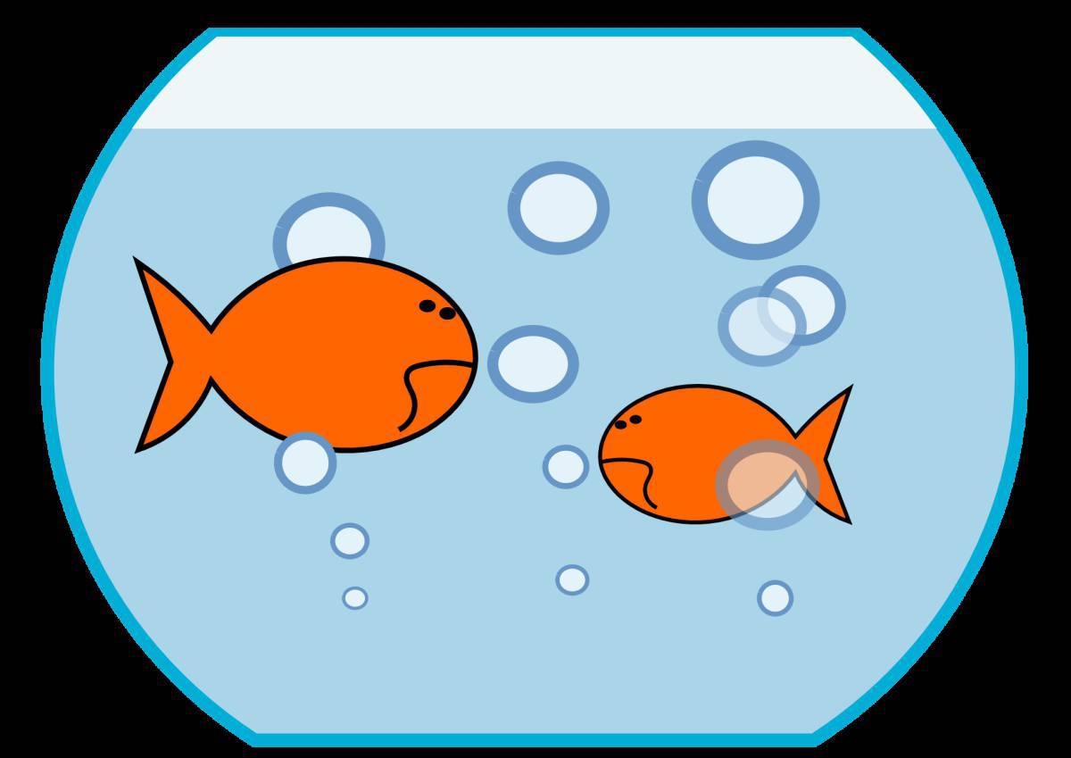 Рыбки плавают в аквариуме средняя группа #11