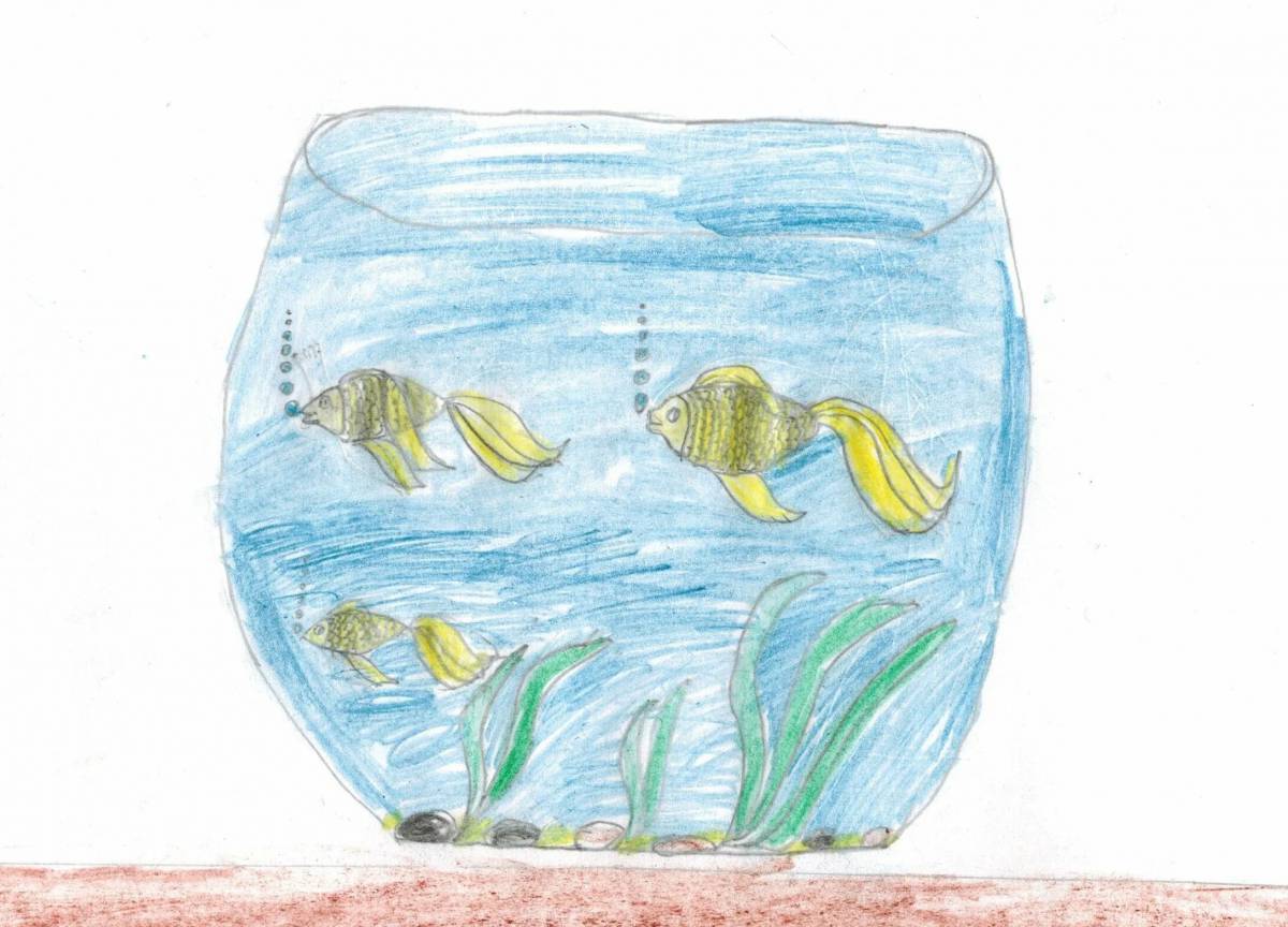 Рыбки плавают в аквариуме средняя группа #31