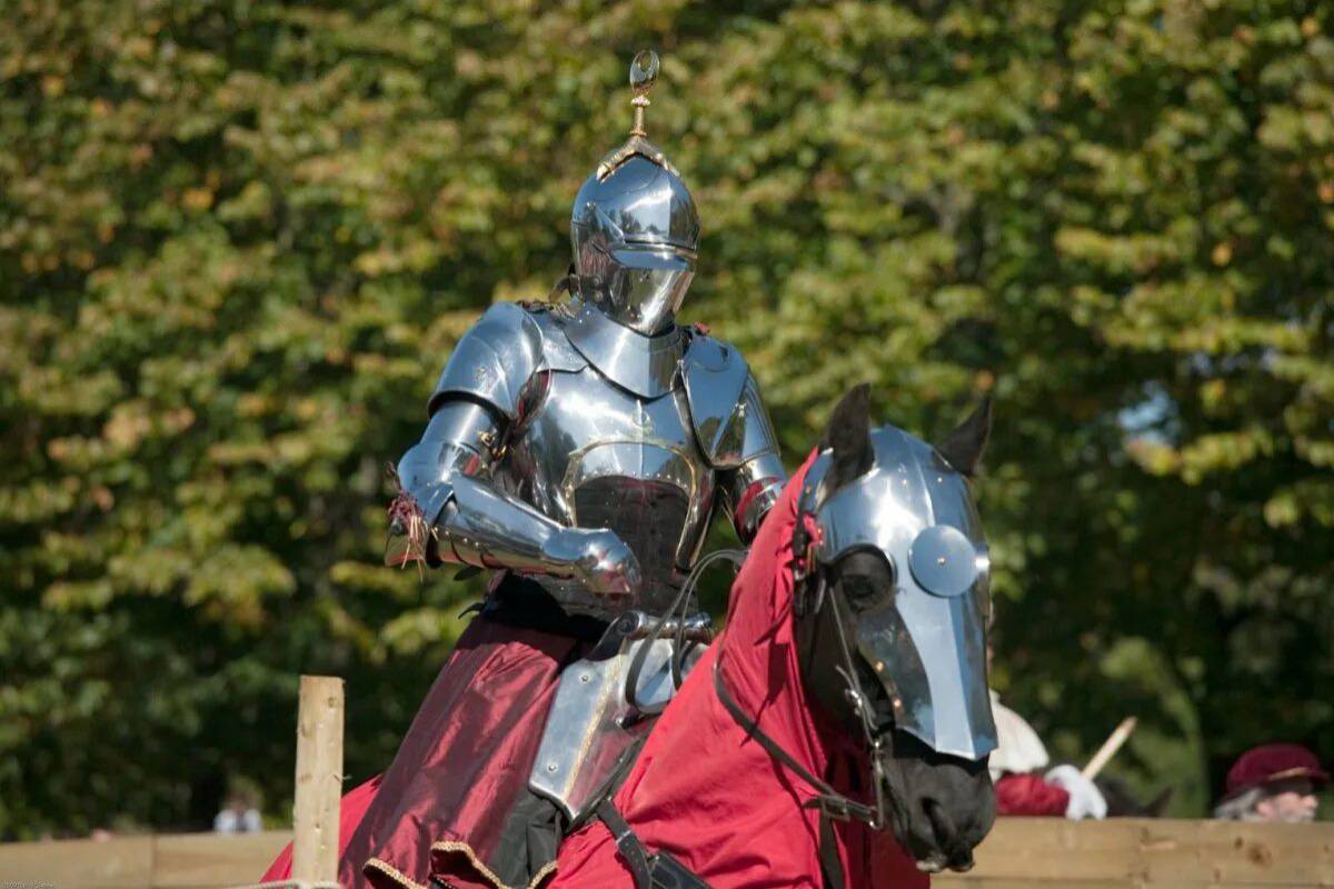Рыцари средневековья #5