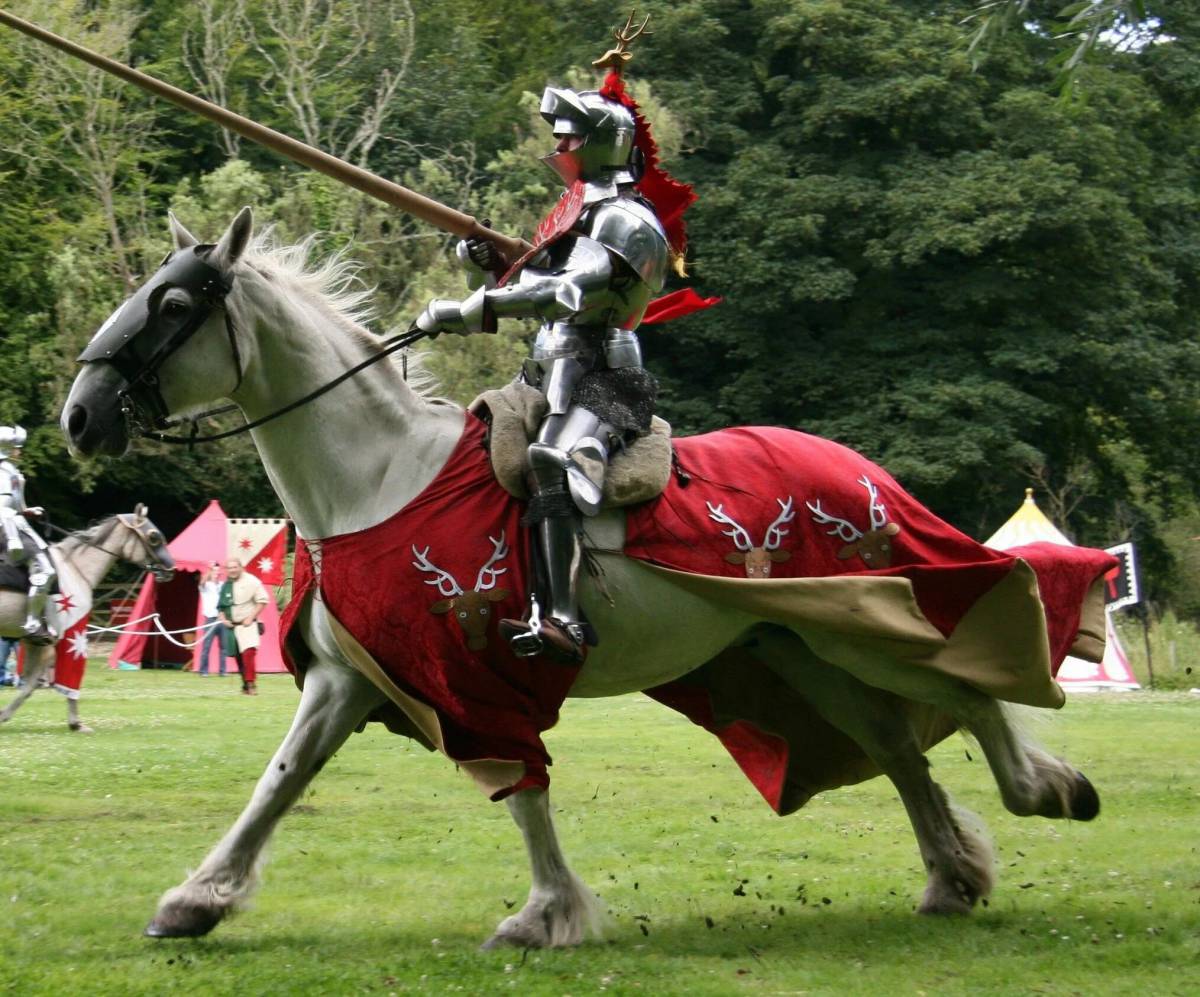 Рыцари средневековья #25