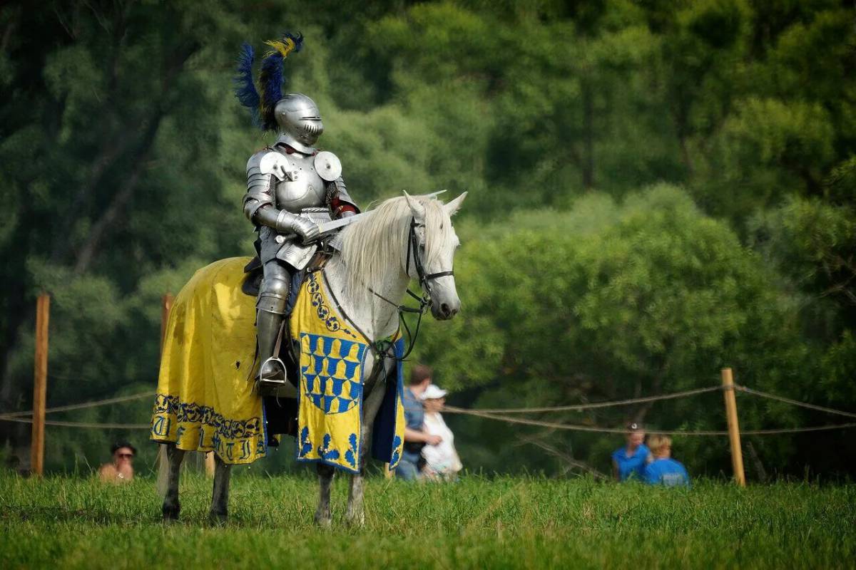 Рыцари средневековья #28