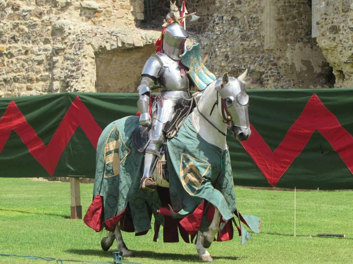Рыцари средневековья #35