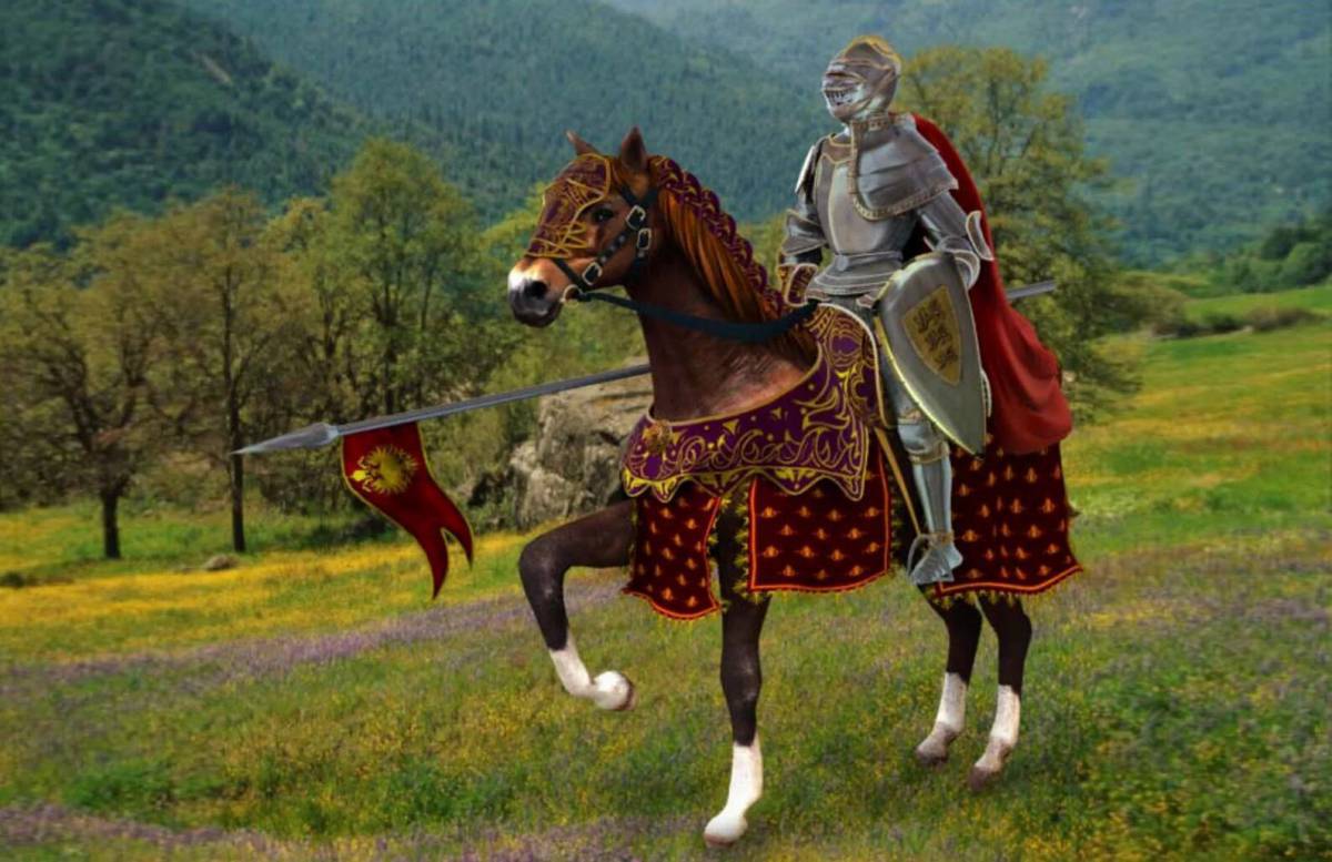 Рыцарь на коне #24