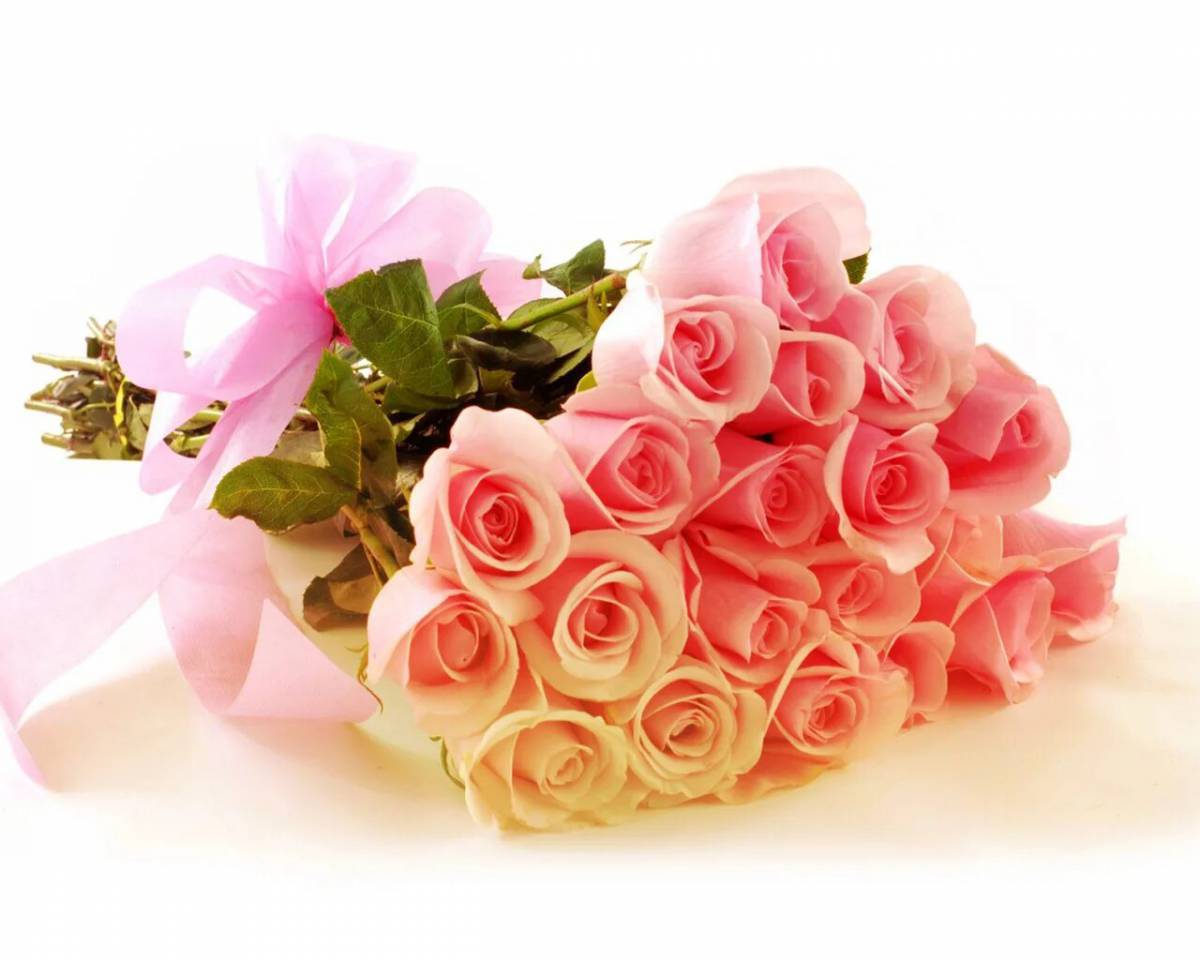 С днём рождения розы красивые. Букет бело розовых роз с днем рождения. Цветы фото с днем рождения девушке. С днём рождения женщине красивые. Розы букет красивый картинка с днем рождения