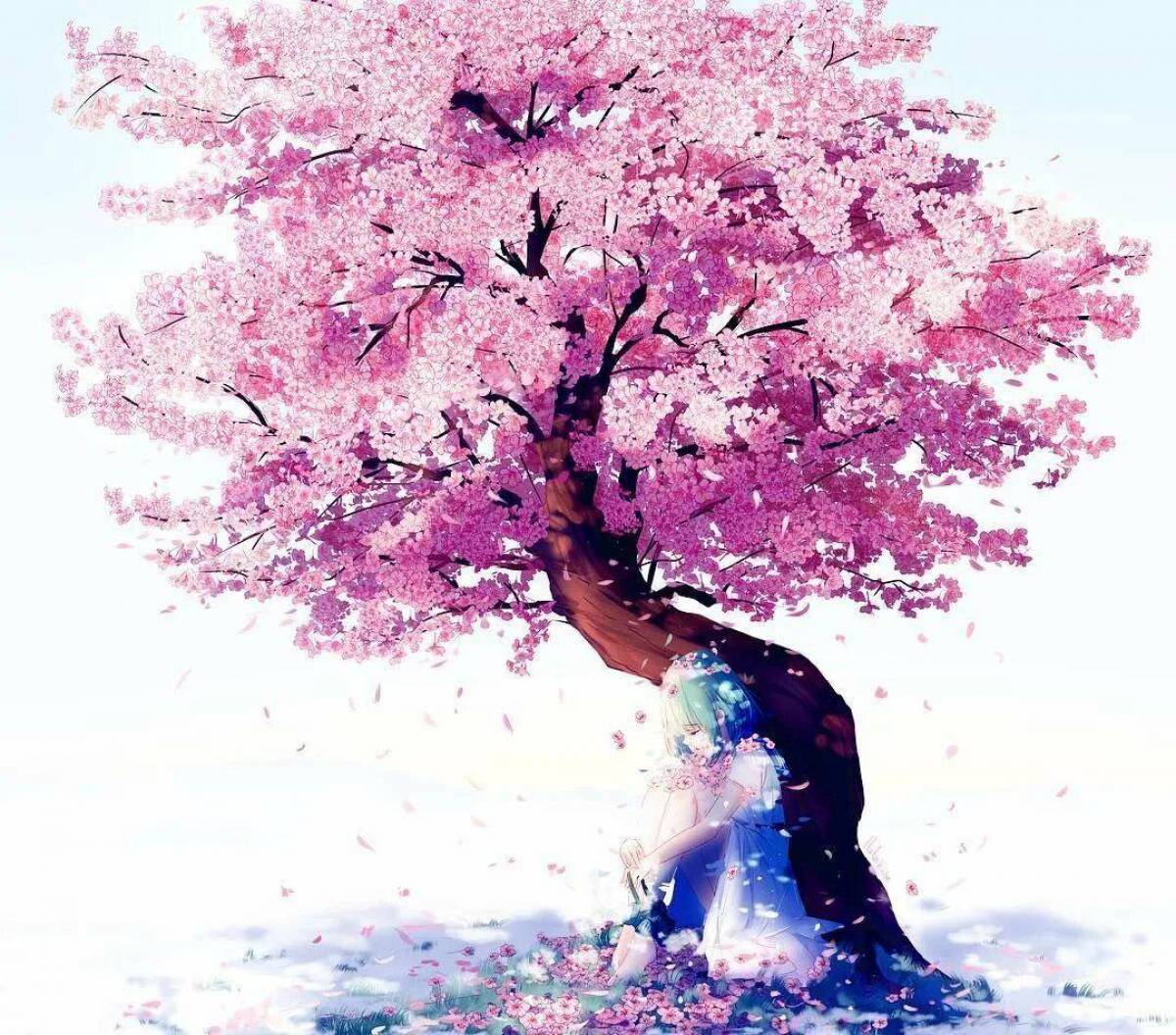 Cherry blossom отзывы. Сакура черри блоссом дерево. Черри блоссом арт. Дерево Сакуры Геншин.