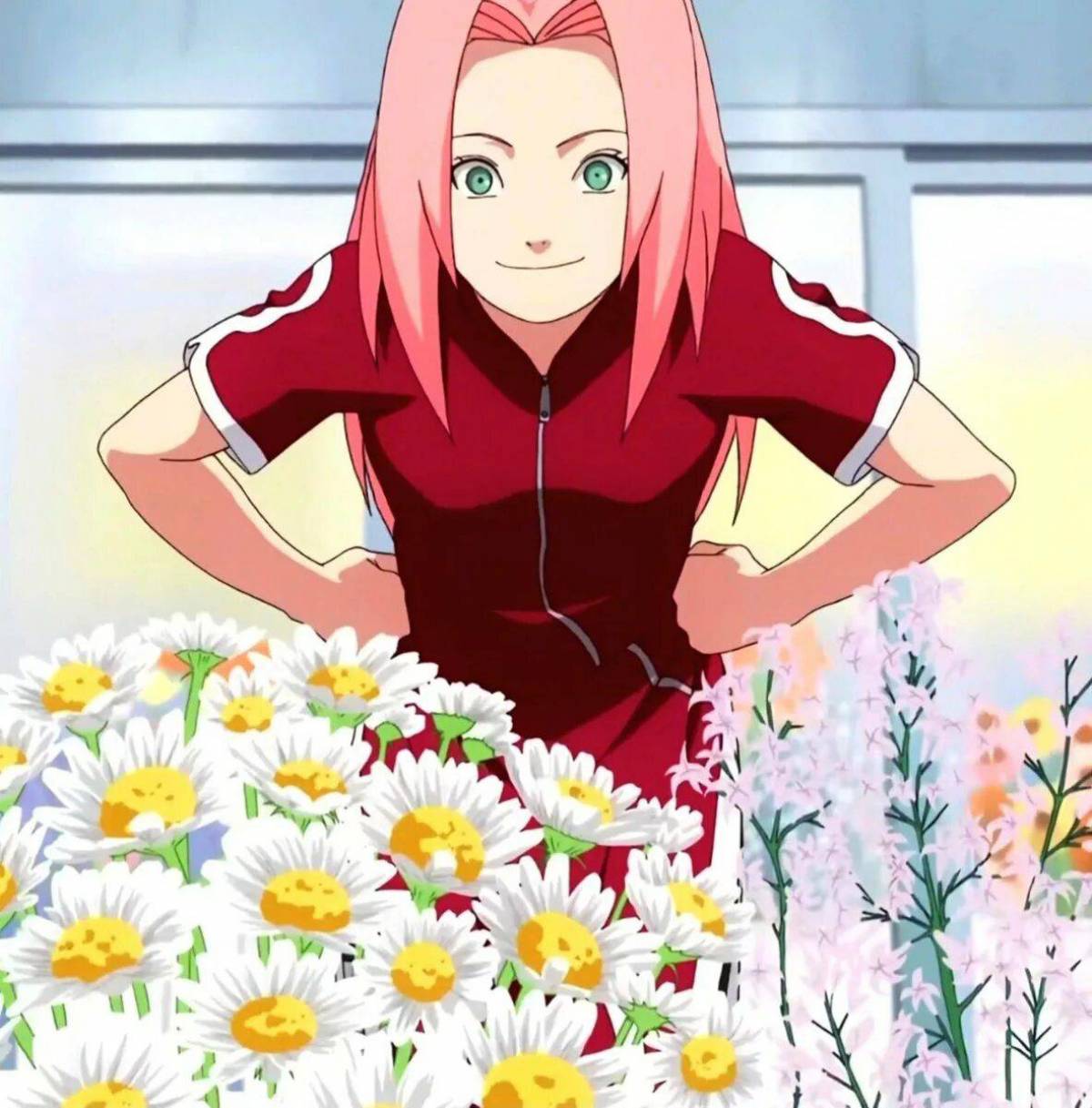 Sakura haruno. Сакура Харуно. Сакура Харуно 1 сезон. Сакура Харуно Чан. Мать Сакуры Харуно.