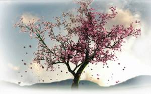 Раскраска сакура дерево #6 #485622