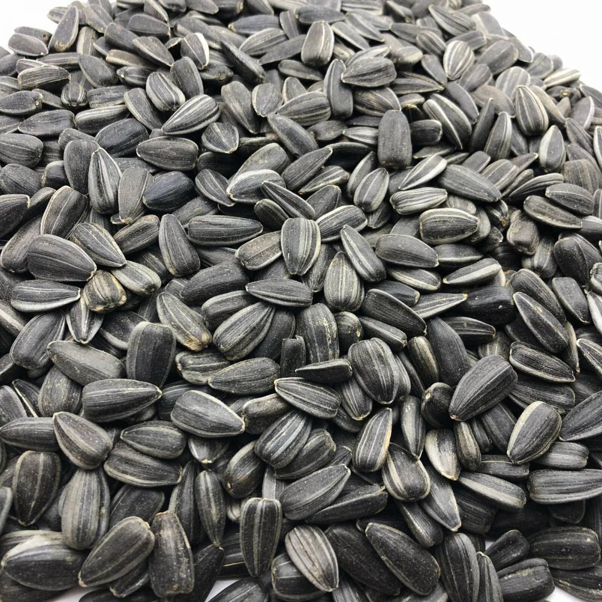 Семена Подсолнечника Купить Для Посадки Сорт Грандис