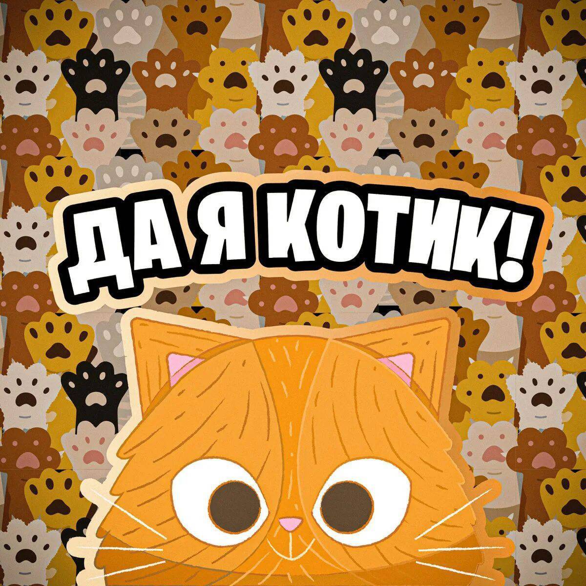 Кот симбочка картинки