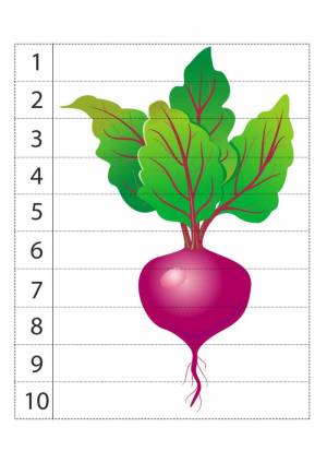 Раскраска свекла для детей #8 #488084
