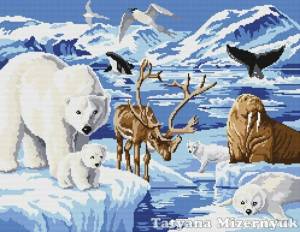 Раскраска северные животные #3 #489199