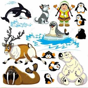 Раскраска северные животные для детей #5 #489230