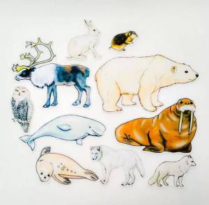Раскраска северные животные для детей #35 #489260