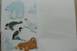 Раскраска северные животные для детского сада #8 #489272