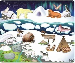 Раскраска северные животные для детского сада #16 #489280