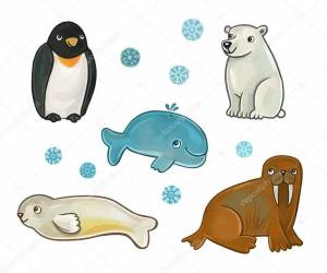 Раскраска северные животные для детского сада #27 #489291