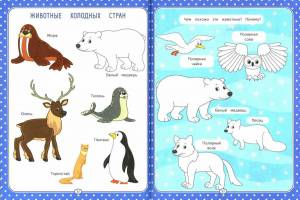 Раскраска северные животные для детского сада #29 #489293