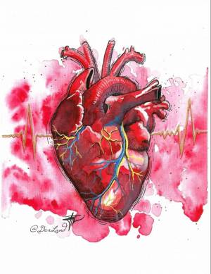 Раскраска сердце анатомическое #4 #490802