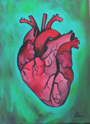 Раскраска сердце анатомическое #6 #490804