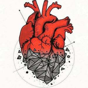 Раскраска сердце анатомическое #16 #490814