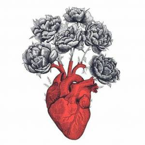 Раскраска сердце анатомическое #23 #490821