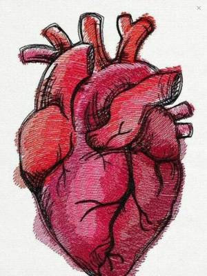Раскраска сердце рисунок #25 #490966