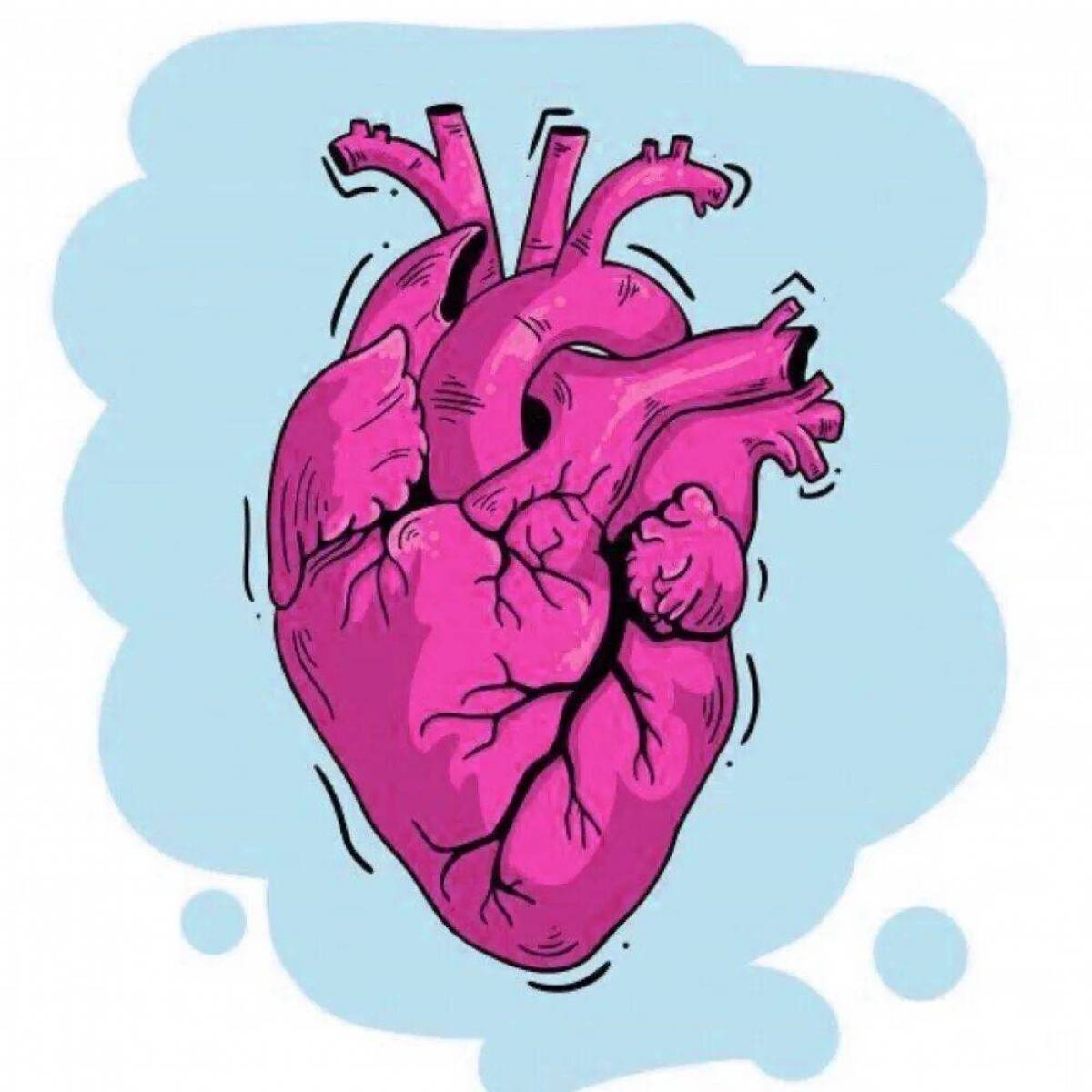 Сердце анатомическое #5