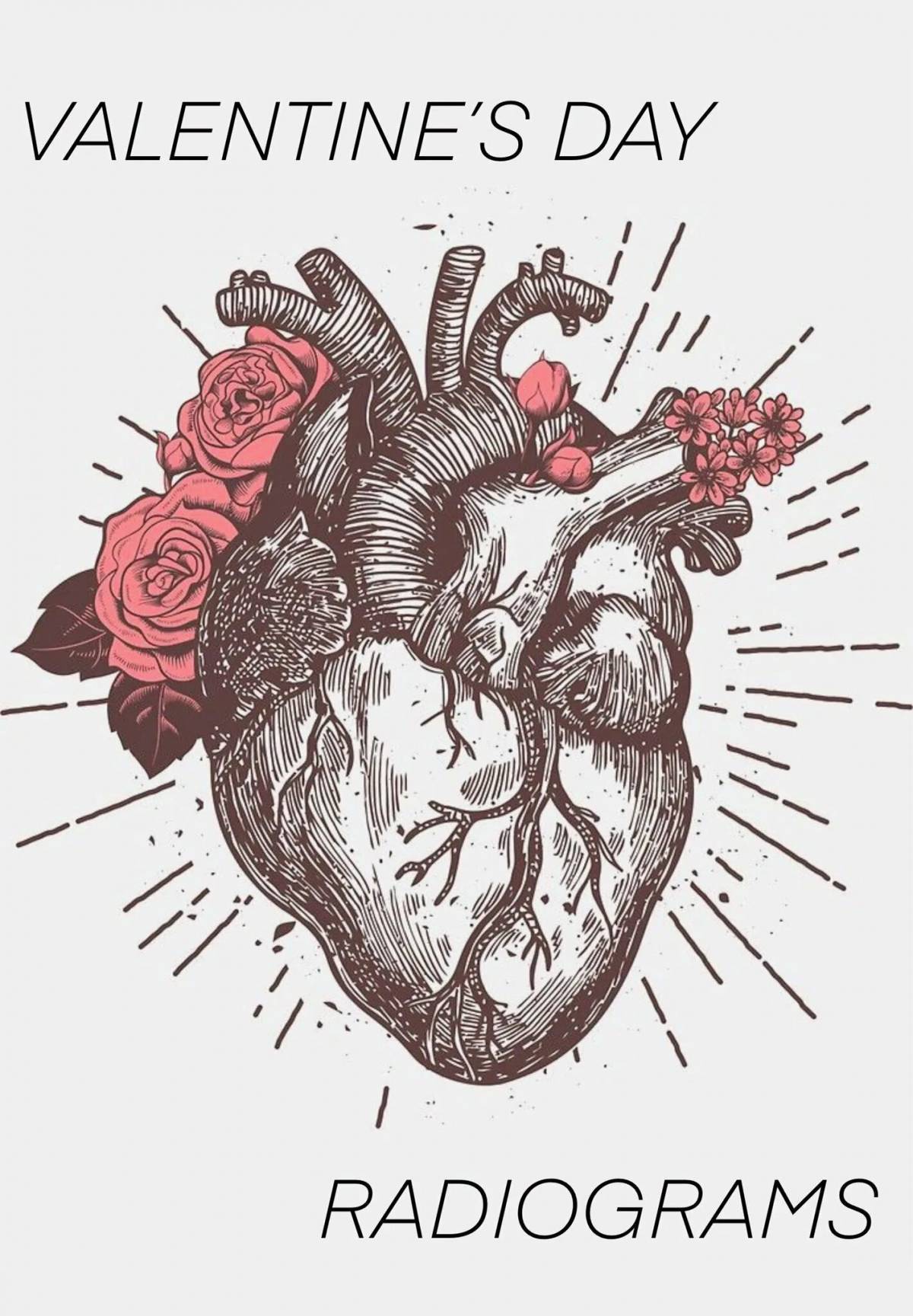 Сердце анатомическое #11