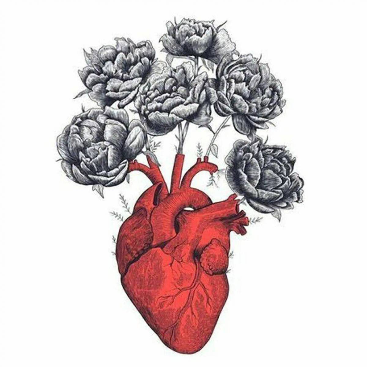 Сердце анатомическое #23