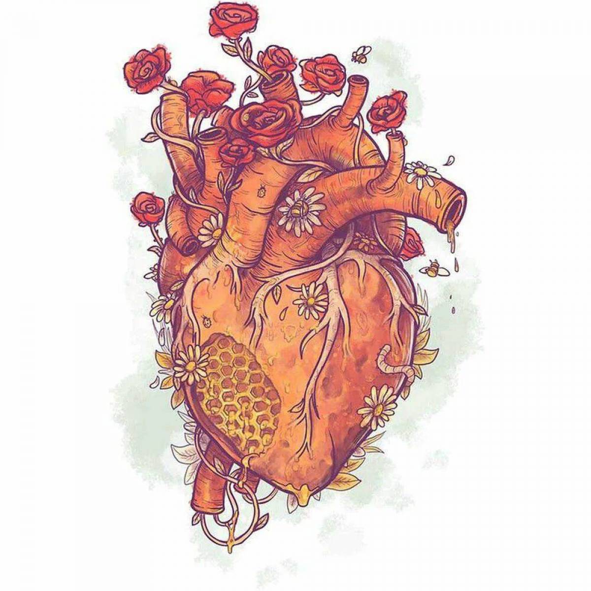 Сердце анатомическое #28